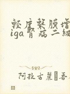 轻度系膜增生性iga肾病二级