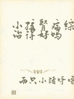 小孩肾病综合征治得好吗