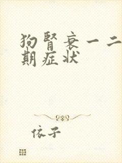 狗肾衰一二三四期症状