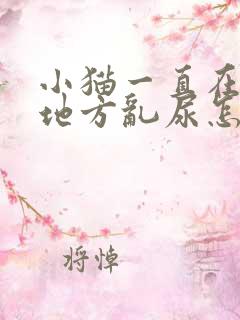 小猫一直在一个地方乱尿怎么办