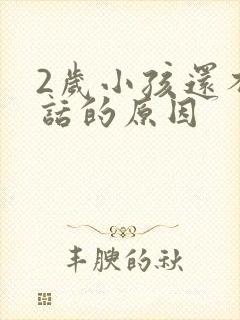 2岁小孩还不说话的原因