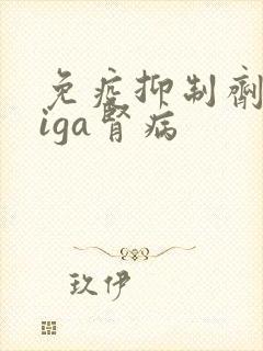 免疫抑制剂治疗iga肾病