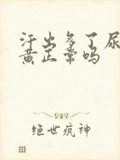 汗出多了尿少尿黄正常吗