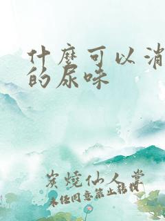 什么可以消除狗的尿味