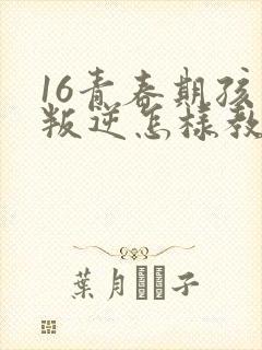 16青春期孩子叛逆怎样教育