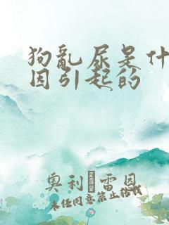 狗乱尿是什么原因引起的