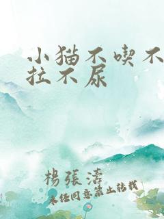 小猫不吃不喝不拉不尿