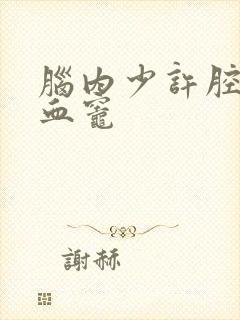 脑内少许腔隙缺血灶