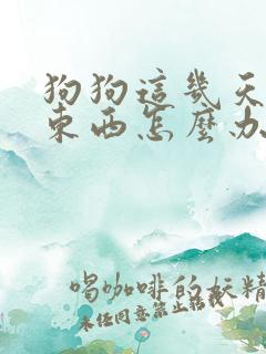 狗狗这几天不吃东西怎么办