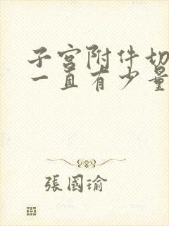 子宫附件切除后一直有少量出血怎么治疗