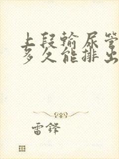 上段输尿管结石多久能排出