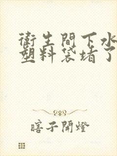 卫生间下水道被塑料袋堵了怎么办