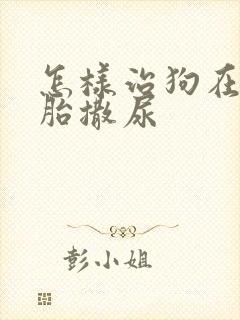 怎样治狗在车轮胎撒尿