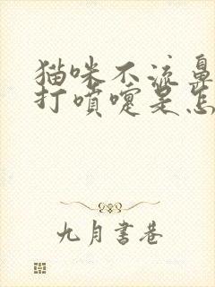 猫咪不流鼻涕但打喷嚏是怎么回事