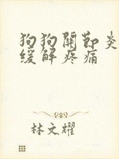 狗狗关节炎怎么缓解疼痛