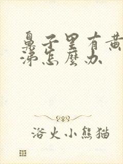 鼻子里有黄稠鼻涕怎么办