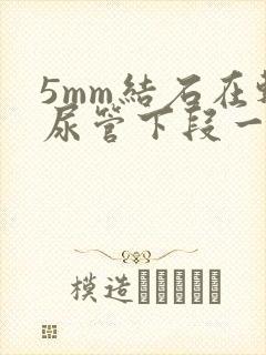 5mm结石在输尿管下段一般多久能排出