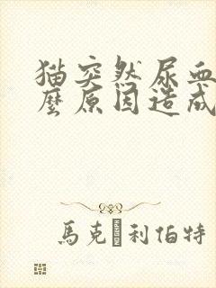 猫突然尿血是什么原因造成的