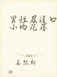 男性尿道口里有小肉疙瘩