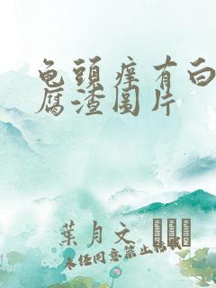 龟头痒有白色豆腐渣图片