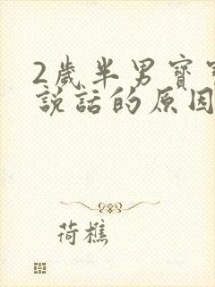 2岁半男宝宝不说话的原因