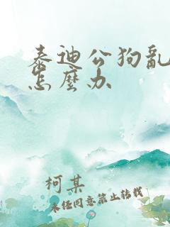 泰迪公狗乱拉尿怎么办