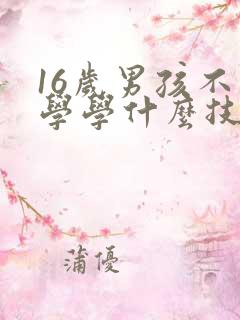 16岁男孩不上学学什么技术好