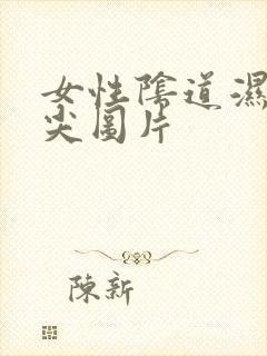 女性阴道湿锐疣尖图片