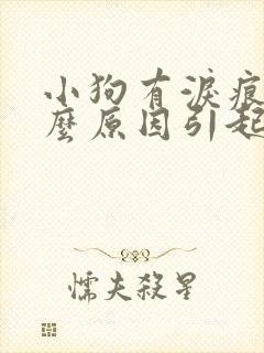 小狗有泪痕是什么原因引起的