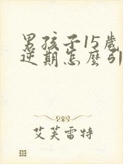 男孩子15岁叛逆期怎么引导