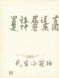 男性尿道有点痛是什么原因