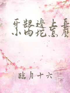 牙龈边上长了个小肉坨怎么能消