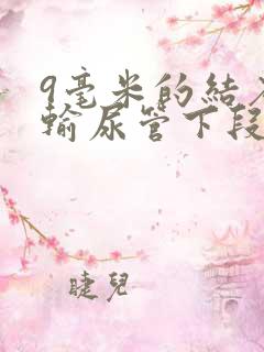 9毫米的结石在输尿管下段