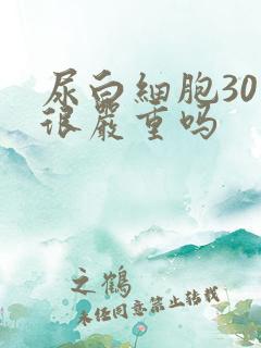尿白细胞30是很严重吗