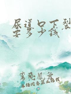 尿道口下裂手术要多少钱