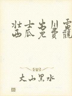 壮士出川电视剧西瓜免费观看