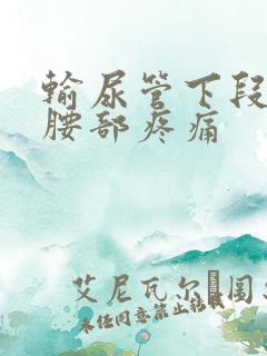 输尿管下段结石腰部疼痛