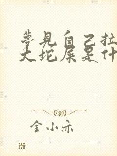 梦见自己拉了一大坨屎是什么预兆