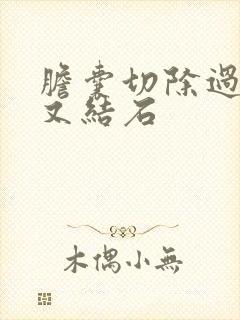 胆囊切除过胆管又结石