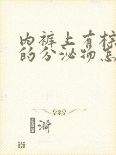 内裤上有棕褐色的分泌物怎么回事