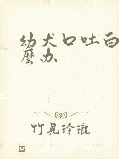 幼犬口吐白沫怎么办