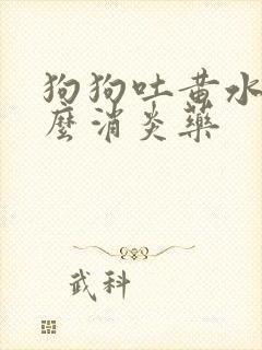 狗狗吐黄水吃什么消炎药