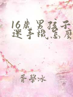 16岁男孩子沉迷手机怎么办