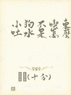 小狗不吃东西还吐水是怎么回事