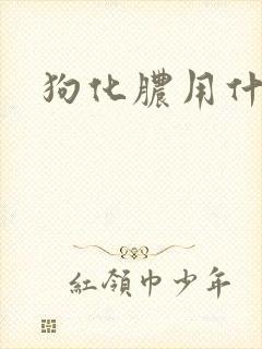 狗化脓用什么药