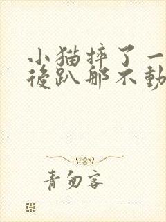 小猫摔了一下然后趴那不动了