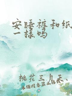 安睡裤和纸尿裤一样吗