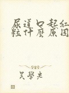 尿道口起红色肉粒什么原因