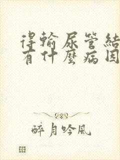 得输尿管结石病有什么病因