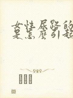 女性尿路的感染是怎么引起的